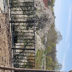 Meet your Posher, Yaet